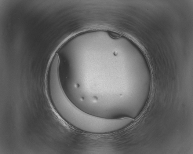 X0000083001056200702230121