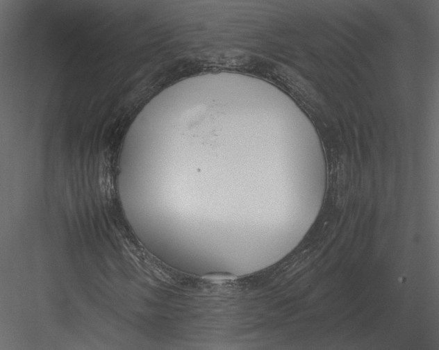 X0000083001058200702230121