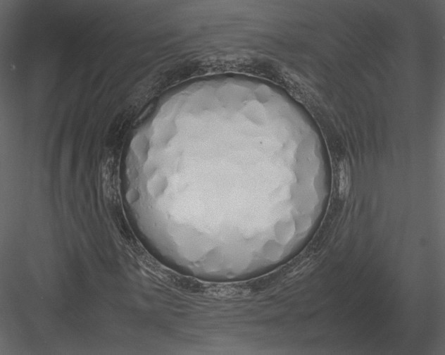 X0000083001059200702230121