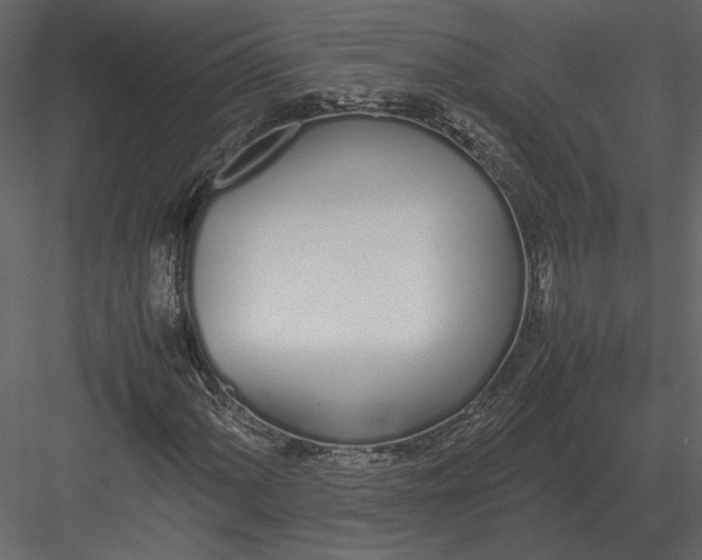 X0000083001060200702230121