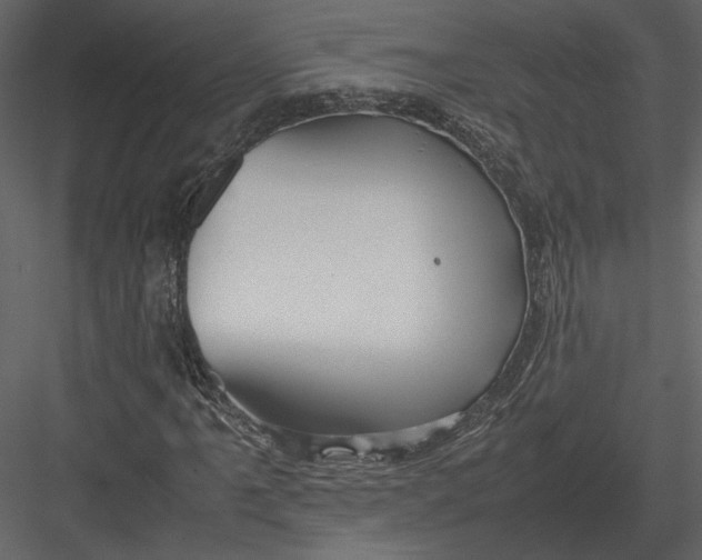 X0000083001061200702230121