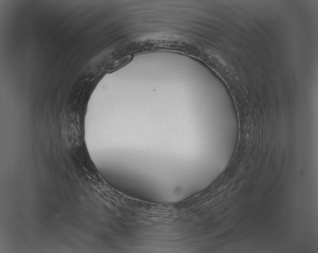 X0000083001062200702230121