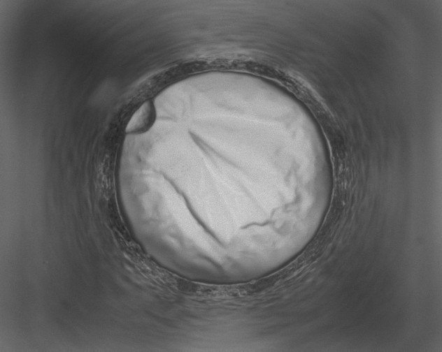 X0000083001063200702230121