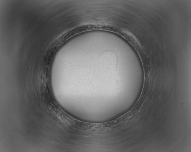 X0000083001064200702230121