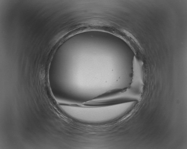 X0000083001065200702230121