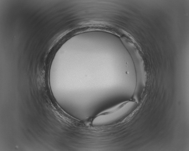 X0000083001066200702230120