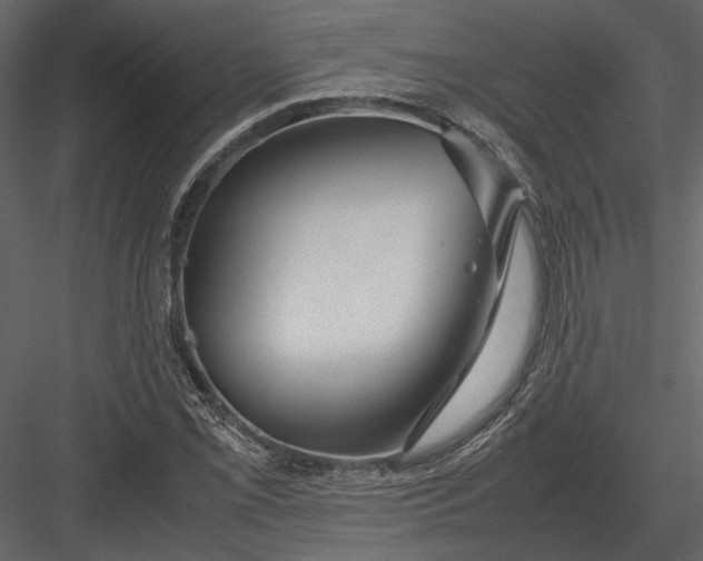 X0000083001069200702230120