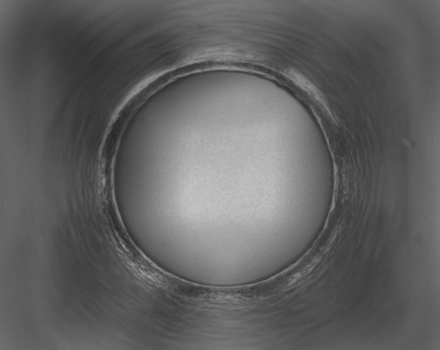 X0000083001070200702230120