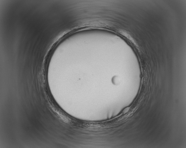 X0000083001071200702230120