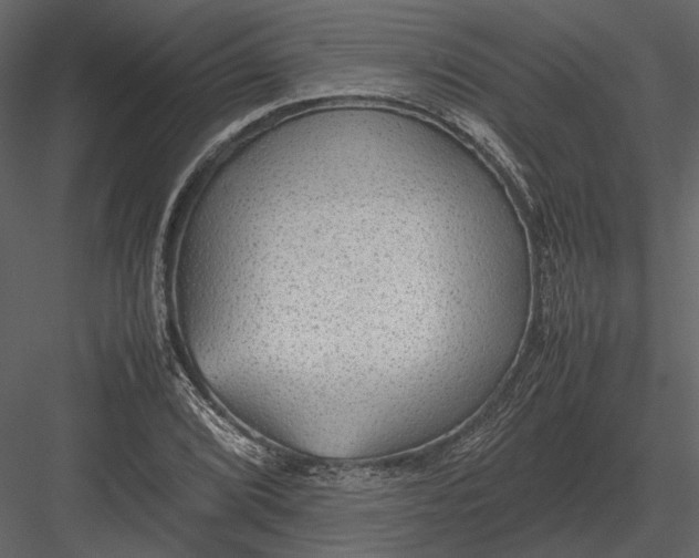 X0000083001072200702230120