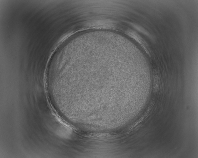 X0000083001074200702230120