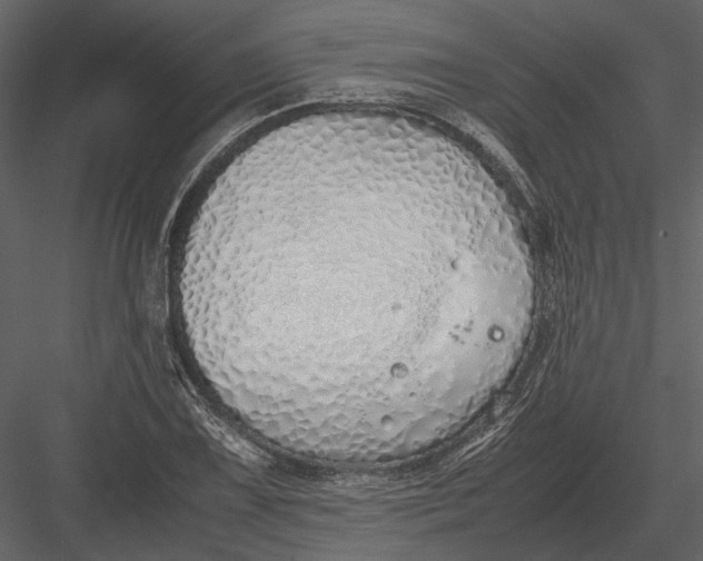 X0000083001075200702230120