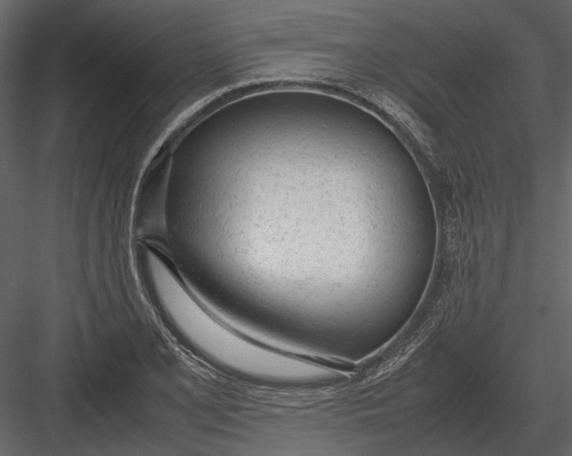 X0000083001077200702230120