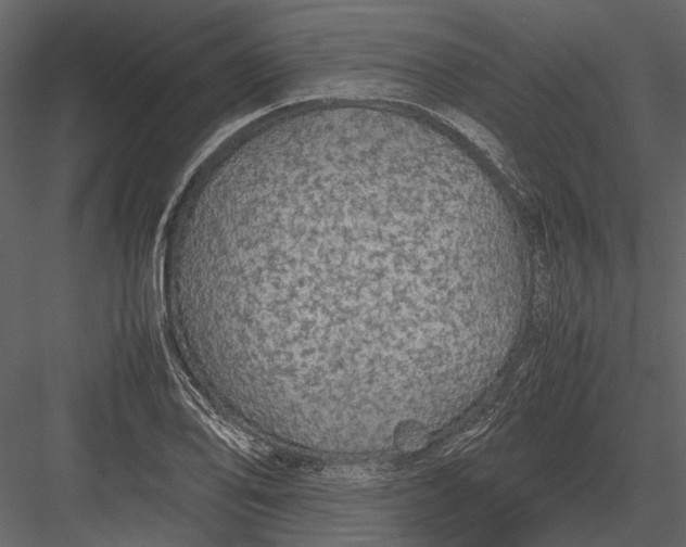 X0000083001078200702230120