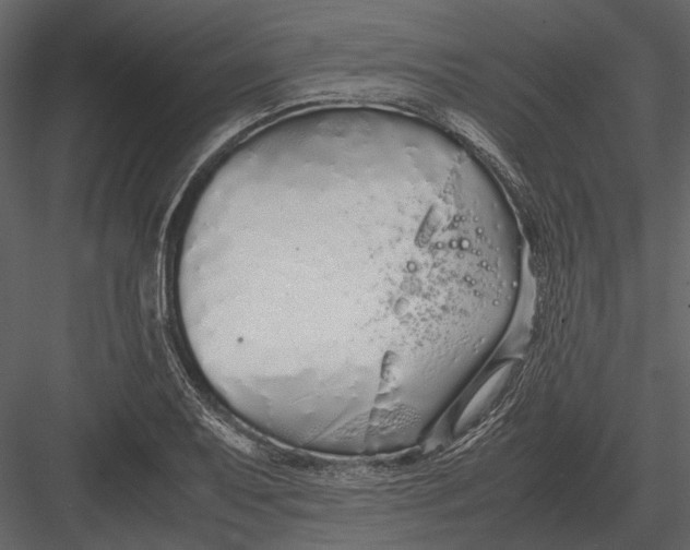 X0000083001079200702230120