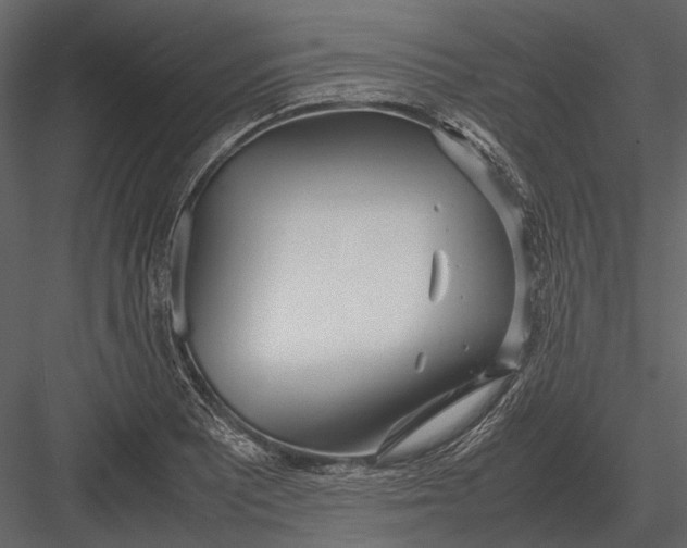 X0000083001081200702230120