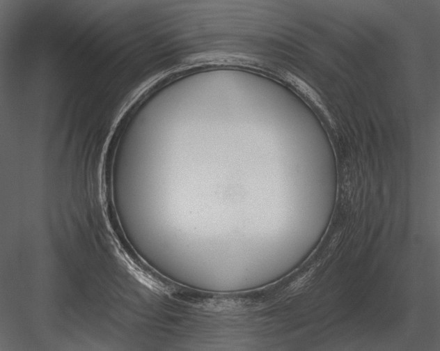 X0000083001082200702230120