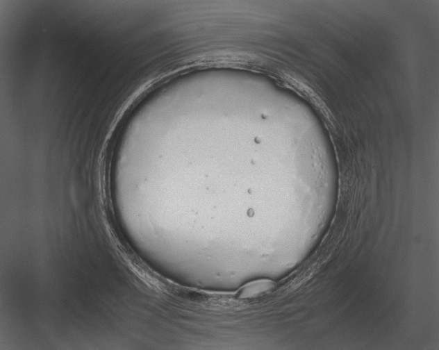 X0000083001083200702230120