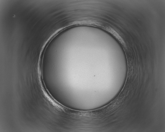 X0000083001084200702230120