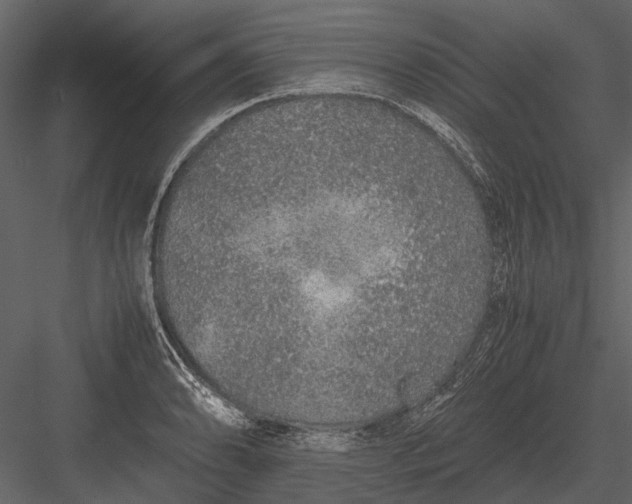 X0000083001086200702230120