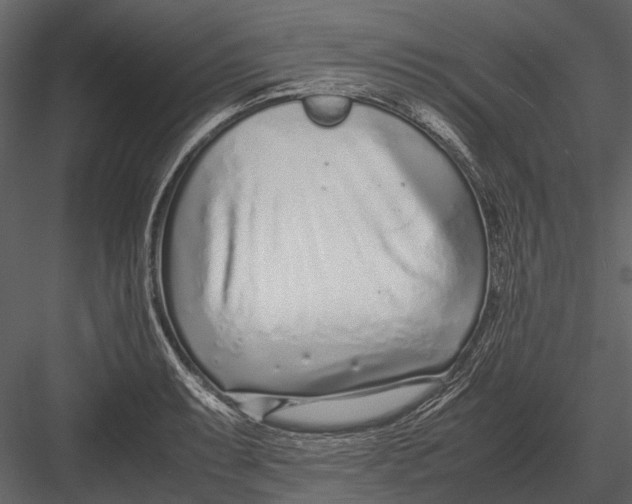 X0000083001087200702230120