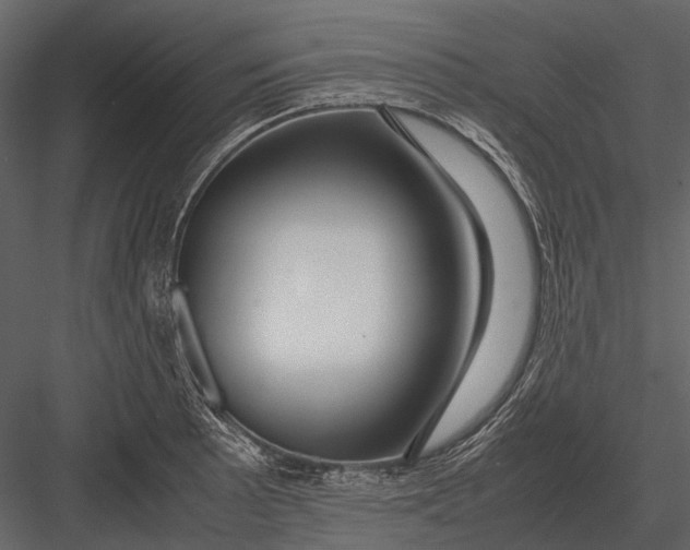 X0000083001089200702230120