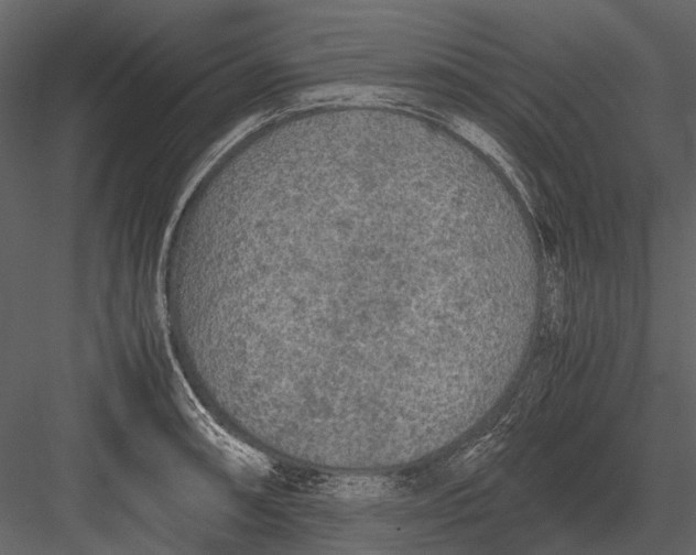 X0000083001090200702230120