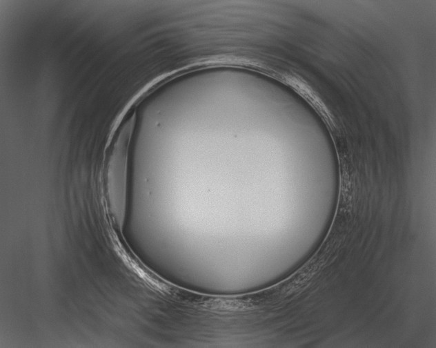 X0000083001092200702230120