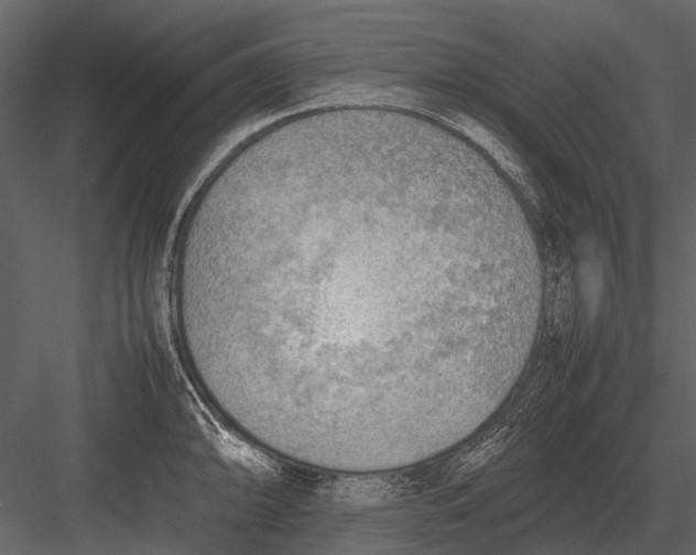 X0000083001094200702230120