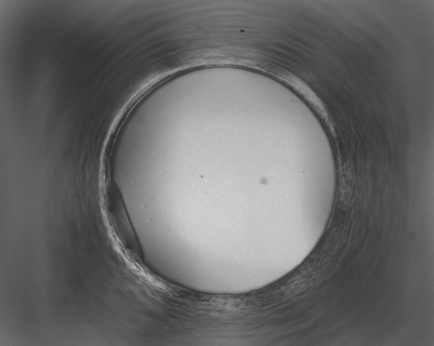 X0000083001096200702230120