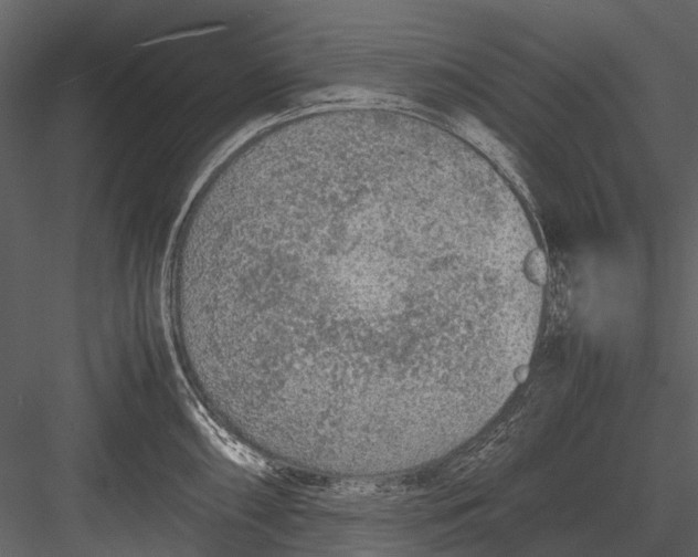 X0000083001098200702230120