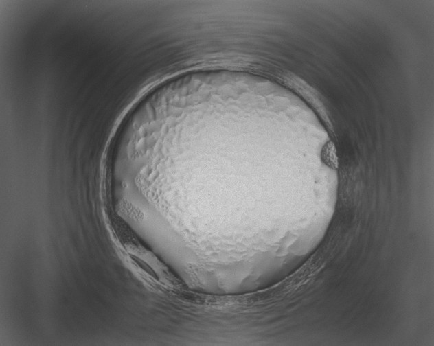 X0000083001099200702230120