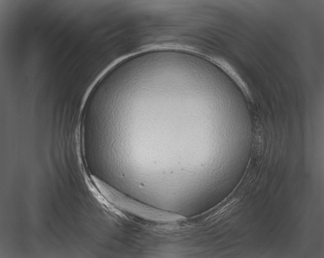 X0000083001100200702230120