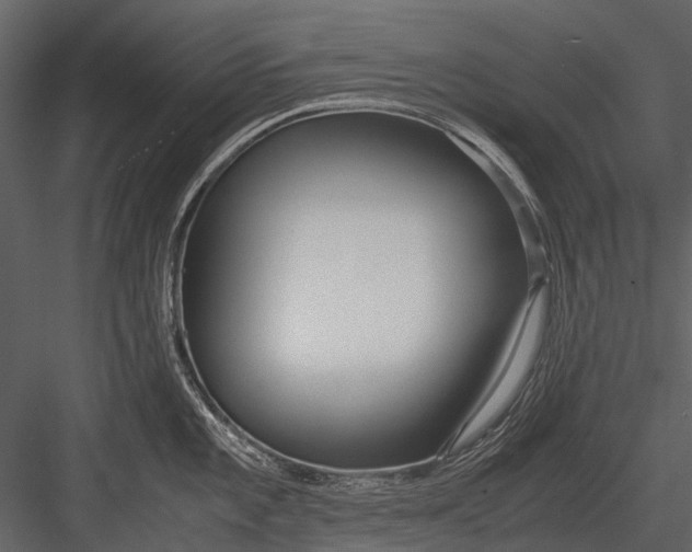 X0000083001101200702230120