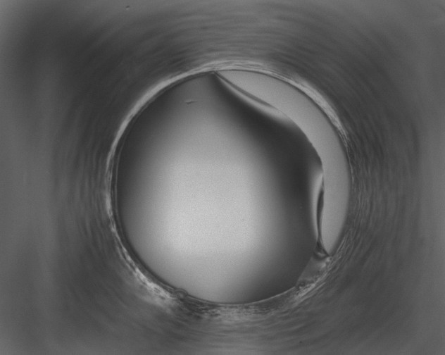 X0000083001102200702230120