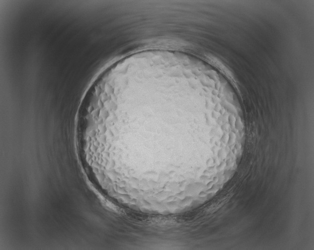 X0000083001103200702230120