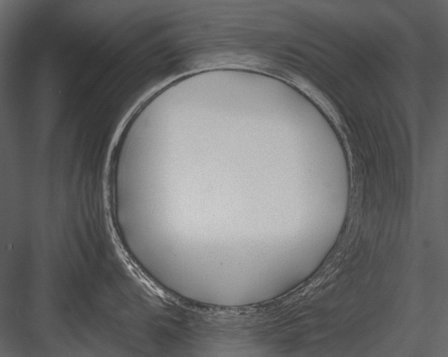 X0000083001104200702230120