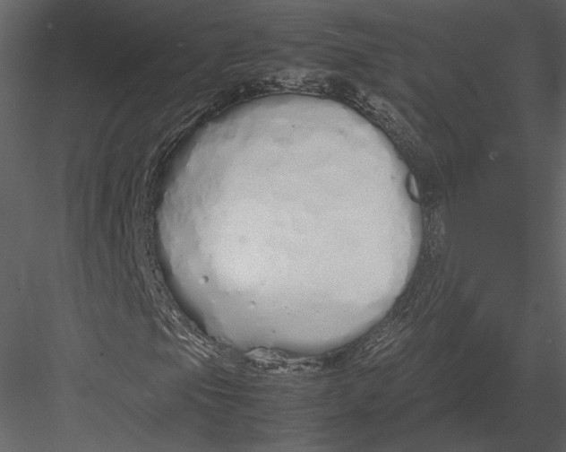 X0000083001105200702230119