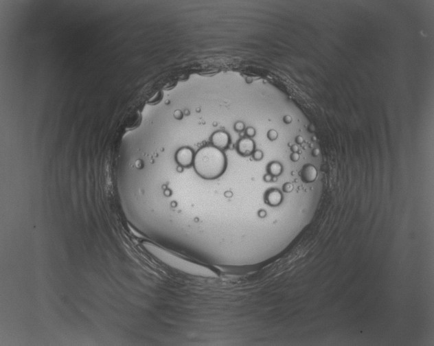 X0000083001106200702230119