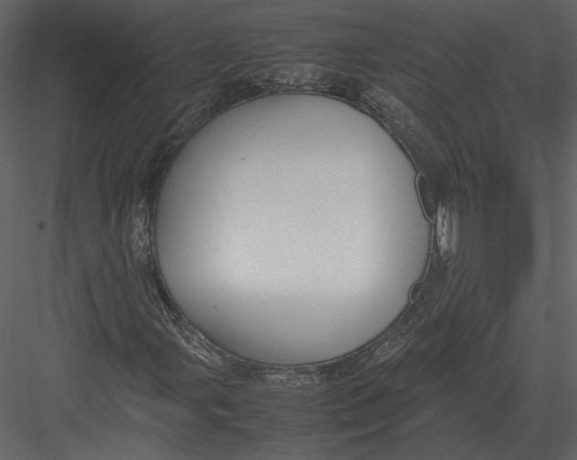 X0000083001107200702230119