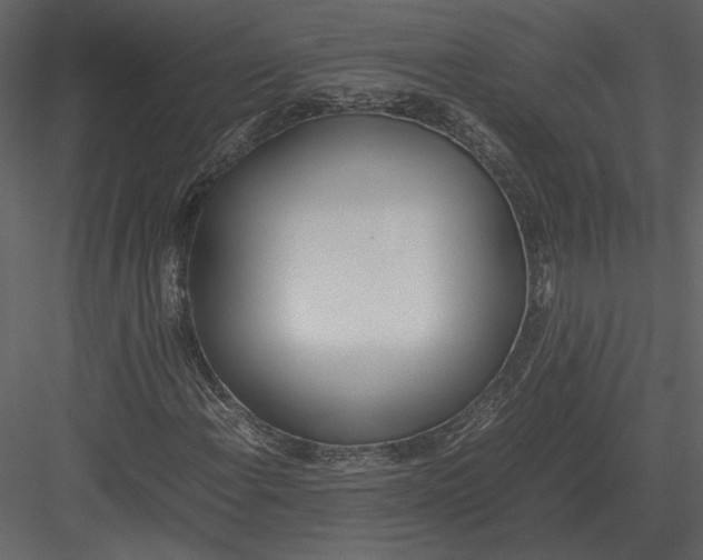 X0000083001108200702230119