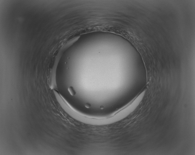 X0000083001109200702230119