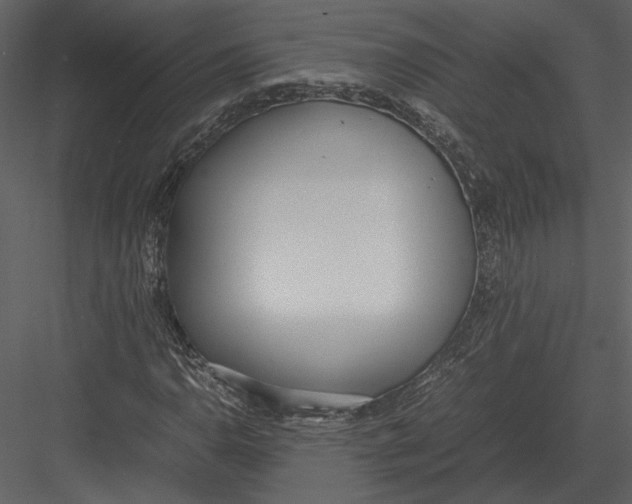 X0000083001110200702230119