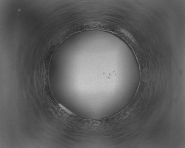 X0000083001111200702230119