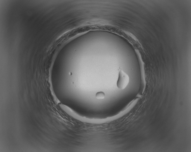 X0000083001112200702230119