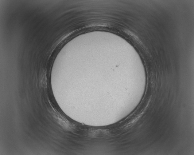 X0000083001113200702230119