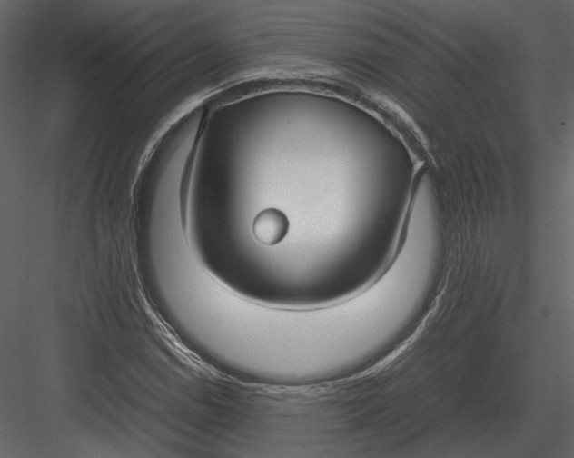 X0000083001114200702230119