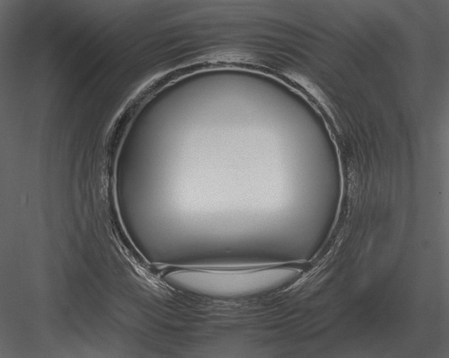 X0000083001115200702230119