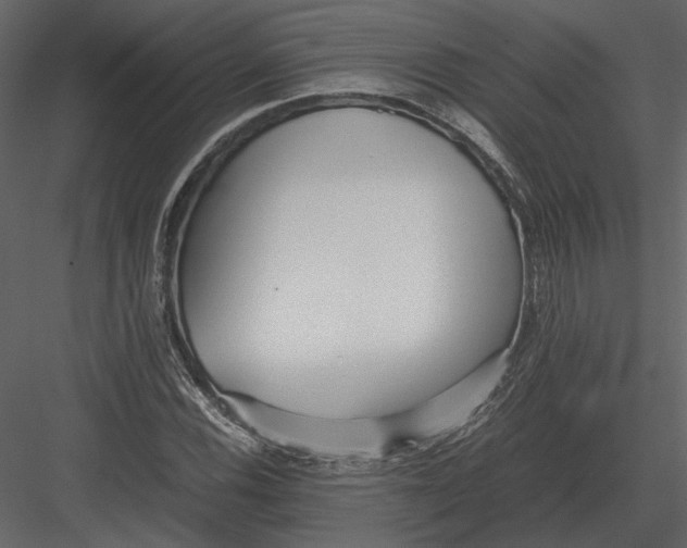 X0000083001116200702230119