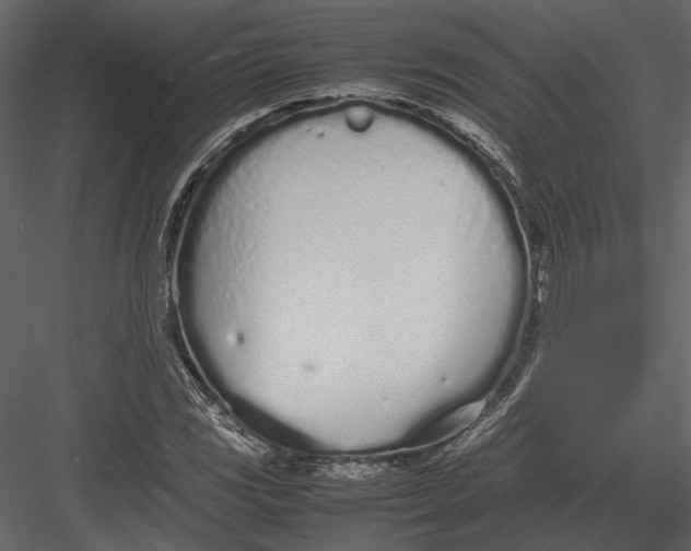 X0000083001117200702230119